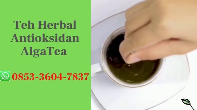 Teh Herbal Antioksidan AlgaTea CALL : 0853-3604-7837 смотреть онлайн