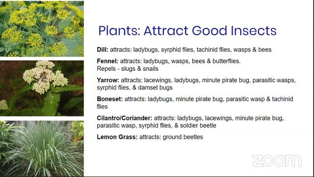 Garden Smarter: Herb Workshop смотреть онлайн