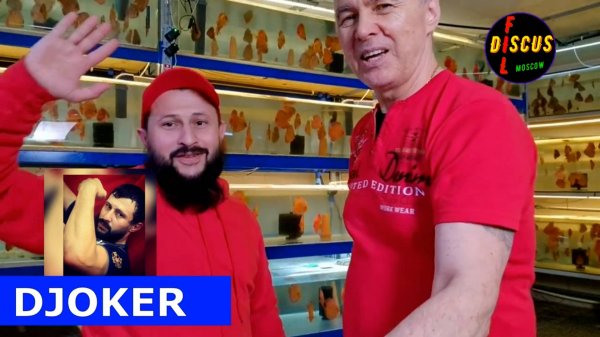 DJOKER. Арнольд в гостях на разводне Kristall Discus