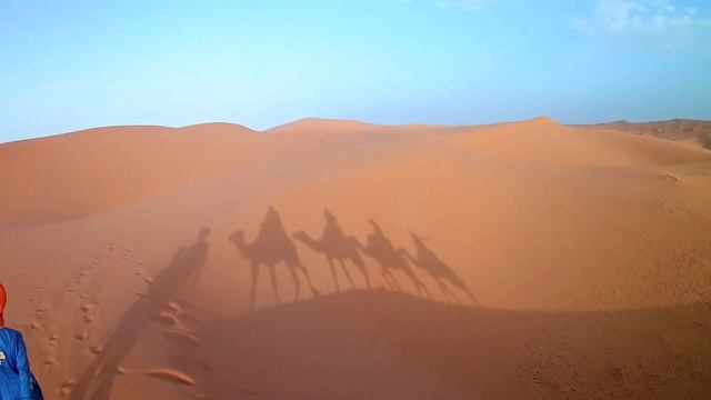Erg Chebbi Camel Ride смотреть онлайн