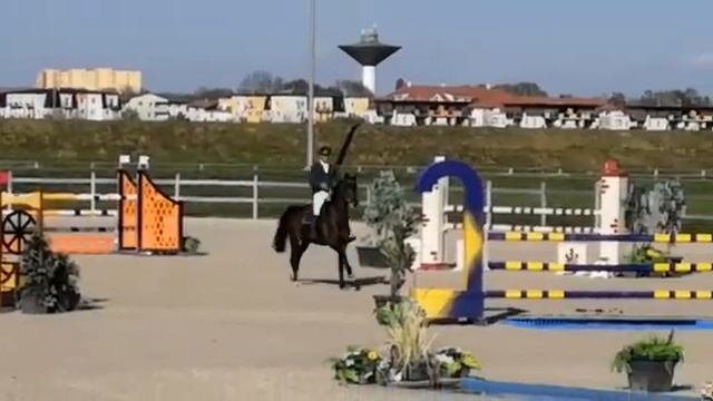 Estelle ( Diarado a.d. Cheppetta ( Chepetto x Cash )) смотреть онлайн