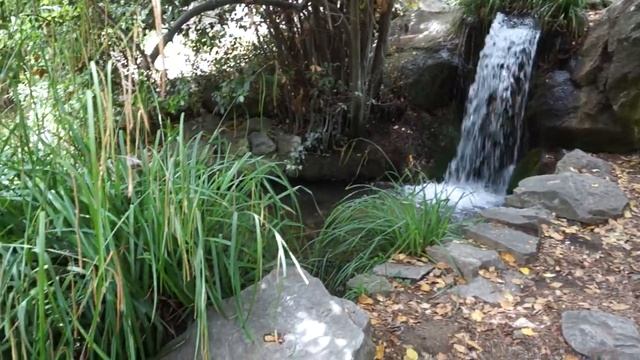 Воронцовский Парк в Алупке, летняя прогулка смотреть онлайн