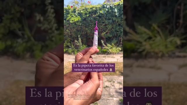 5 cosas que no sabías de la pipeta Vectra®️ 3D смотреть онлайн