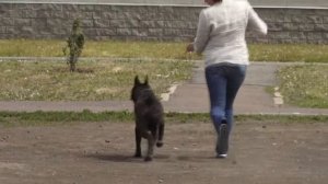 Очная ставка3