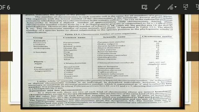 Cell biology . Chromosome and its shape n structure. смотреть онлайн
