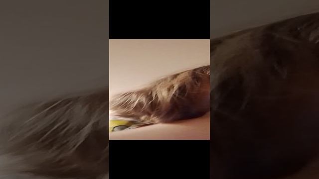 1000003465.mp4 смотреть онлайн