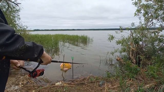 Рыбалка 🎣 на озере Караульном 2 часть ! Ловля Ротанов и Карасей ! Сломал Удочку и выловил Карася ! смотреть онлайн