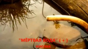 родник ЖИВАЯ ВОДА.wmv