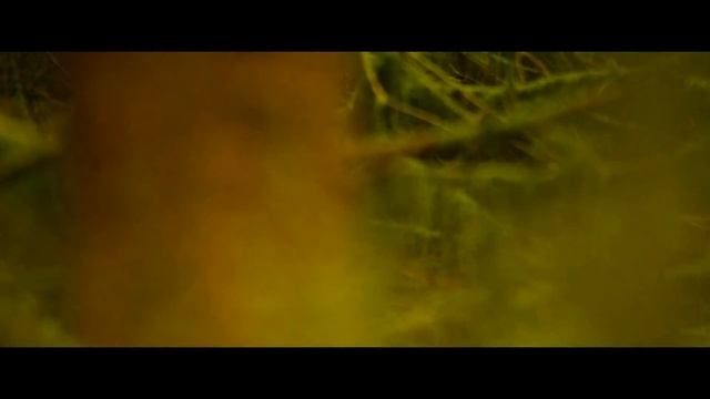 Beluga Lagoon - To A Place смотреть онлайн
