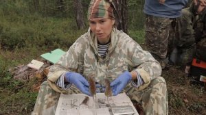 Сплав по реке Зея. Стоянка ниже устья реки Кара-Урек.