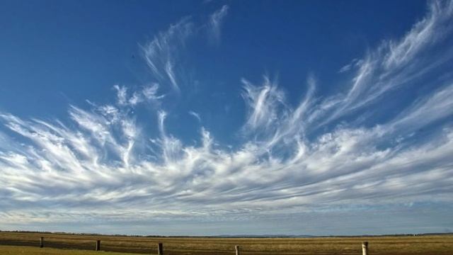 Касаясь неба головою