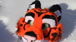Fursuit Tiger TR  [ 1 Minuts ]  (  Instagramm version )