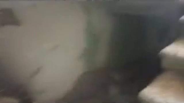 Сталк: В заброшенном каше ОГОНЕК! смотреть онлайн