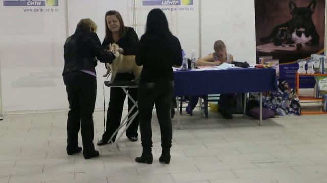 коб.кл.победителей смотреть онлайн