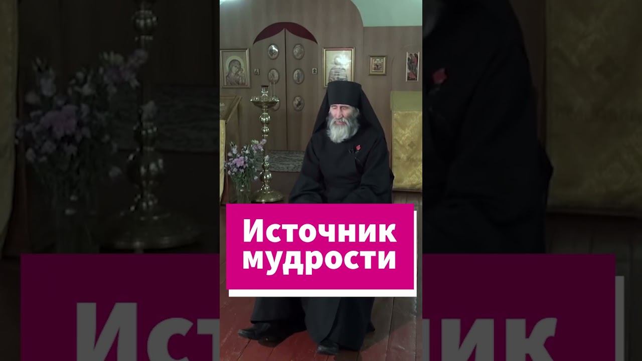 Откуда у священников мудрость? #shorts смотреть онлайн