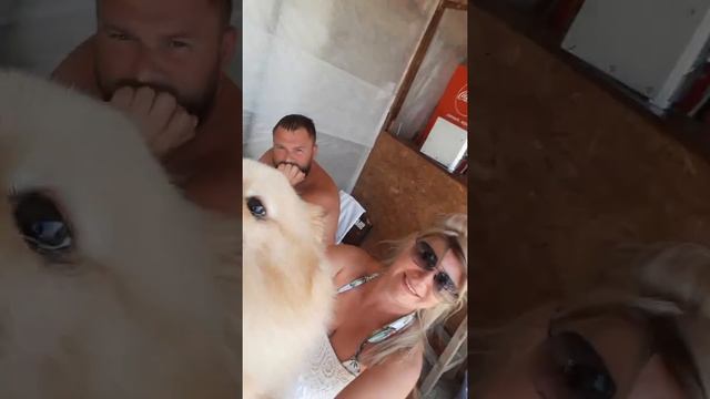 "Зайка с креветками" Адекватная реакция на зайца))) смотреть онлайн