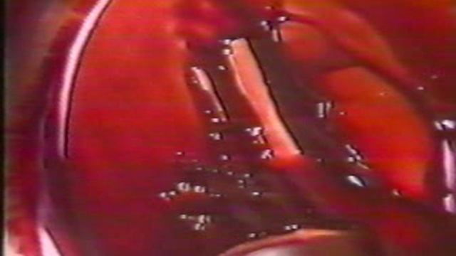 Castrol. Анатомия моторного масла смотреть онлайн