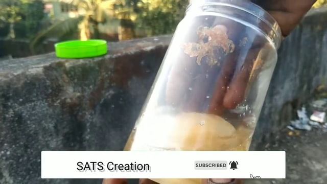 transparent egg boiling /experiment/ смотреть онлайн