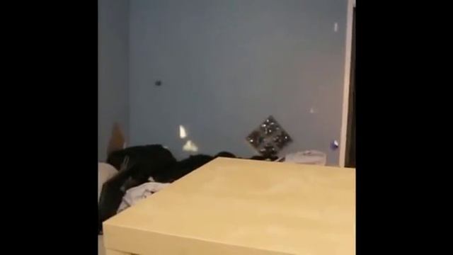 Zach king Vine Subscribe After Effect 9 смотреть онлайн