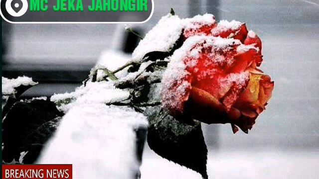 Jeka_Точик Бача-Русский реп(я люблю тебя) 2019 смотреть онлайн