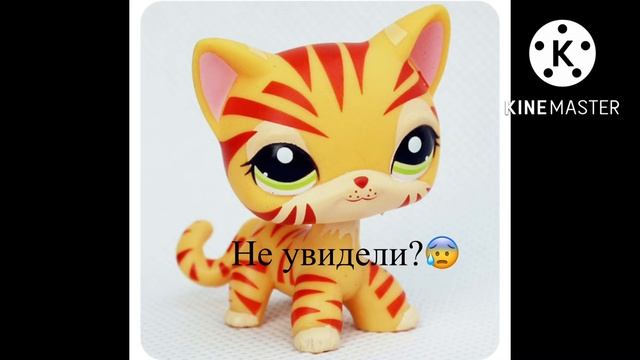 До конца я встретила призрак рыси😰😰😰😰👻👻👻 смотреть онлайн