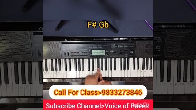 HOW TO LEARN KEYBOARD !! BLACK NOTE !! OCTAVE !! SAPTAK !! BASIC LEARNING LESSON смотреть онлайн