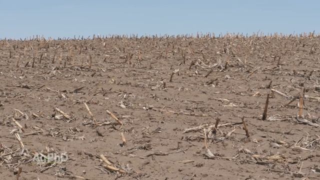 Farm Basics #1051 The Importance Of Boron (Air Date 5-27-18) смотреть онлайн