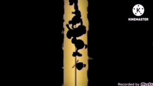 побег от шуми куми 24