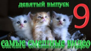 Удивительные животные выпуск девятый 9