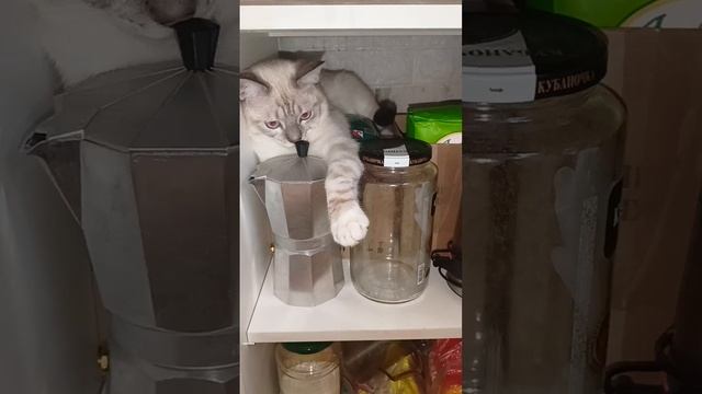 2 мая 2024 г. смотреть онлайн