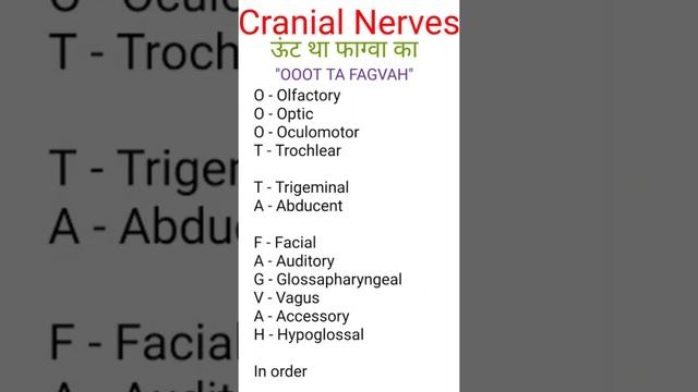 Trick to learn cranial nerve#short#neet#viral смотреть онлайн