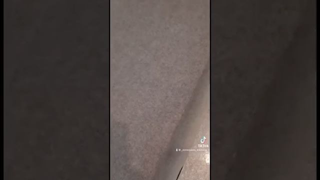 Пирожные Павлова смотреть онлайн