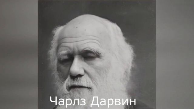 Оживляем Никола Тесла, Альберта Эйнштейна и других при помощи нейросетей смотреть онлайн