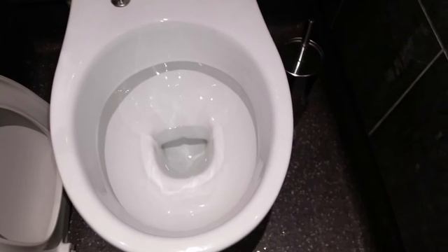 Ideal Standard Alto toilets at Morgan's Hotel (Swansea) смотреть онлайн