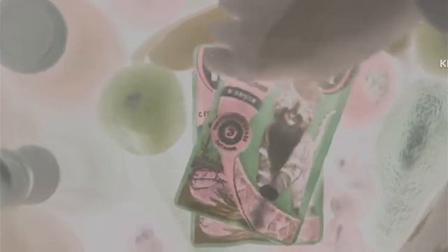 Kitekat 2018 Еда энергичных кошек Effects GAME144ONATE смотреть онлайн