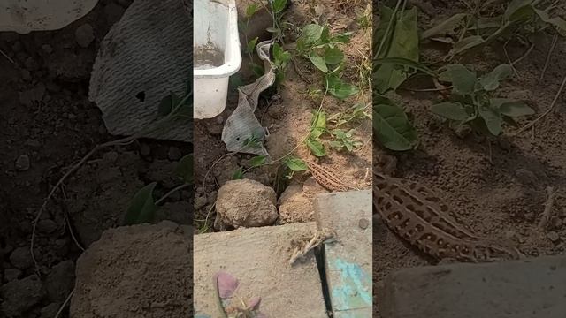 31 мая 2023 г. смотреть онлайн