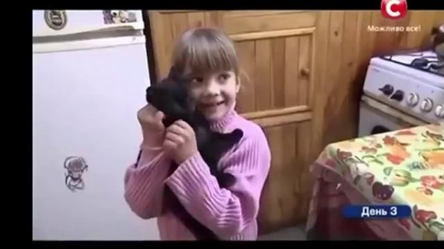 Хата на тата! Викинув кота з хати! смотреть онлайн