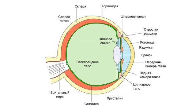 Чому псується зір після 40 і як його зберегти смотреть онлайн