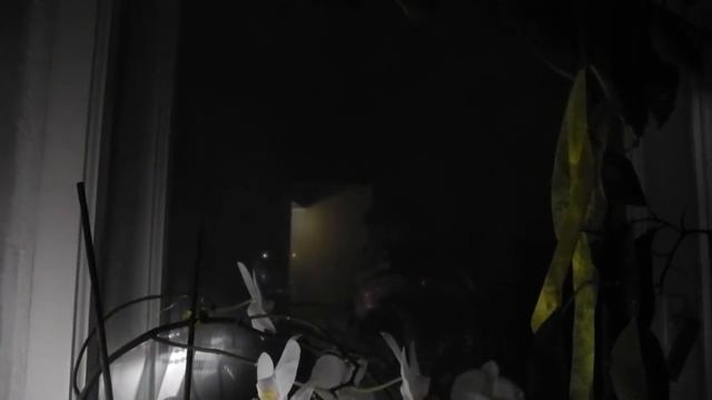 Ночь близка смотреть онлайн