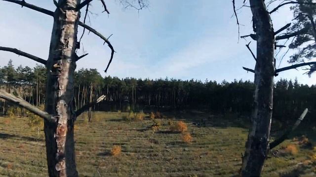 Sunday FPV | Autumn 2021 | Runcam 5 Orange смотреть онлайн