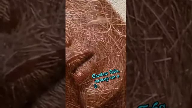 Благословенн Господь(5) смотреть онлайн