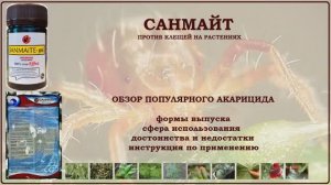 Санмайт - одно из лучших средств от паутинных и растительноядных клещей. Обзор акарицида