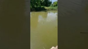 Как правильно доставать рыбу