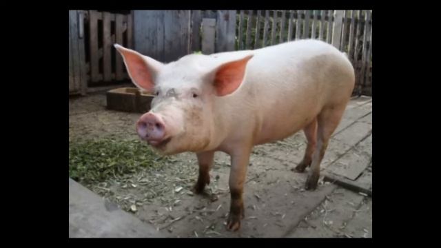 французский для малышей 2