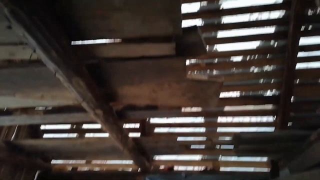 Охота на вальдшнепа