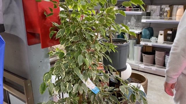 Выбрала себе подарок на День Рождения! Выравниваем полы в нашей новой квартире на море смотреть онлайн