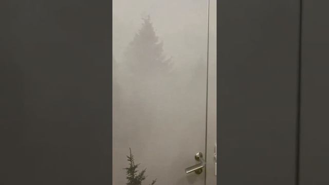 Фотообои туман над лесом. Отзыв от покупателя смотреть онлайн