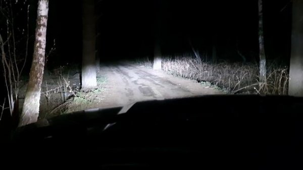 Обзор MTF ACTIVE NIGHT H7