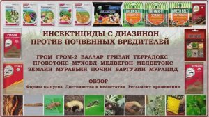 Средства против медведки, проволочника, хруща на основе диазинон: Гром, Террадокс, Провотокс, Землин