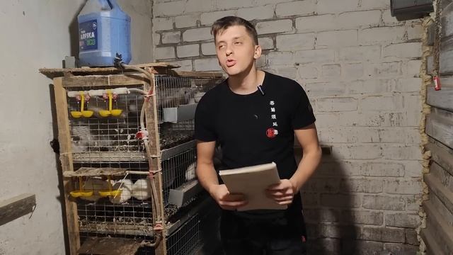 Выгодно ли держать перепела? смотреть онлайн